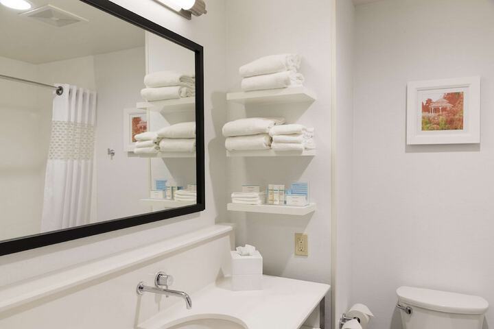 Hampton Inn Mt. Pleasant