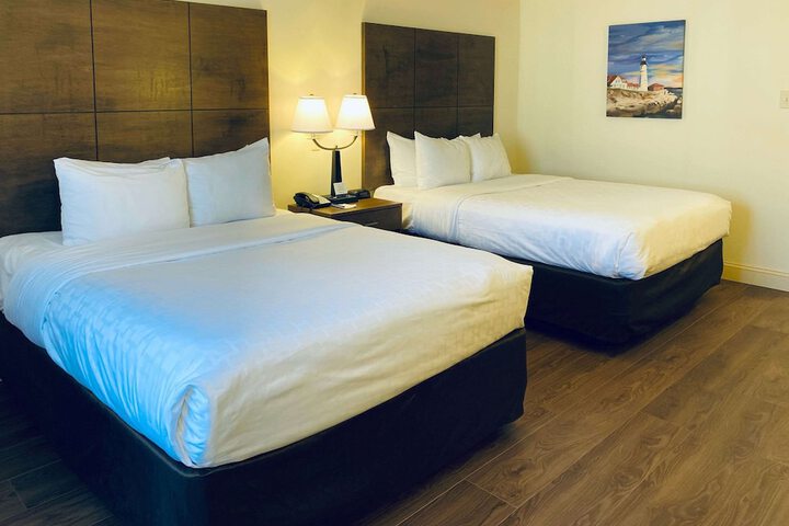Room 42 of 65
