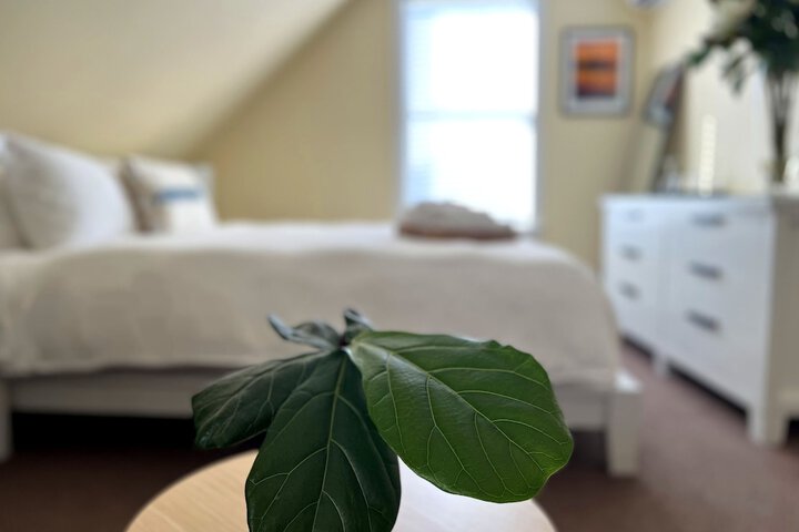 Room 26 of 80