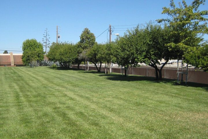 Property Grounds 33 of 33