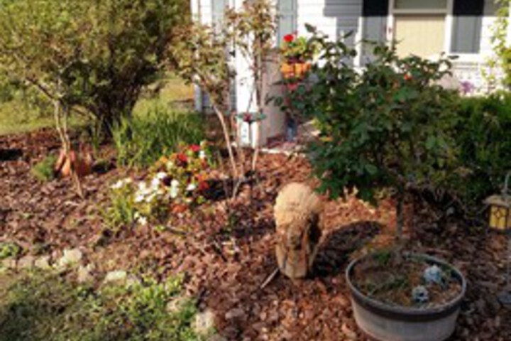 FOUR MILE BED & BREAKFAST