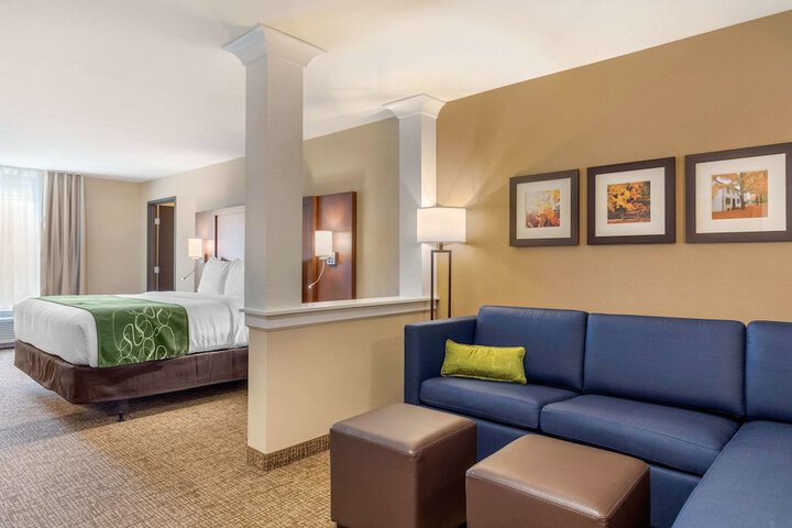 Comfort Inn & Suites Schenectady - Scotia