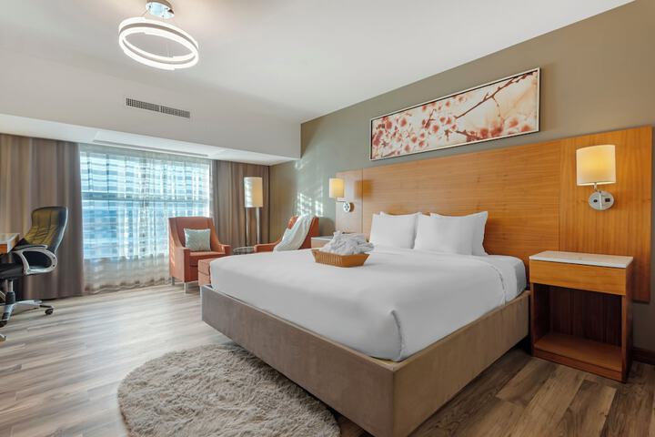 Radisson Hotel & Conference Centre Calgary Airport