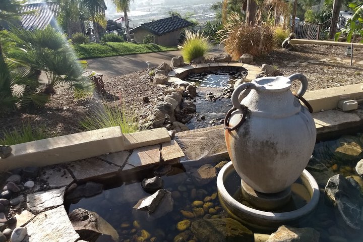 Sunshine Mountain Bed and Breakfast