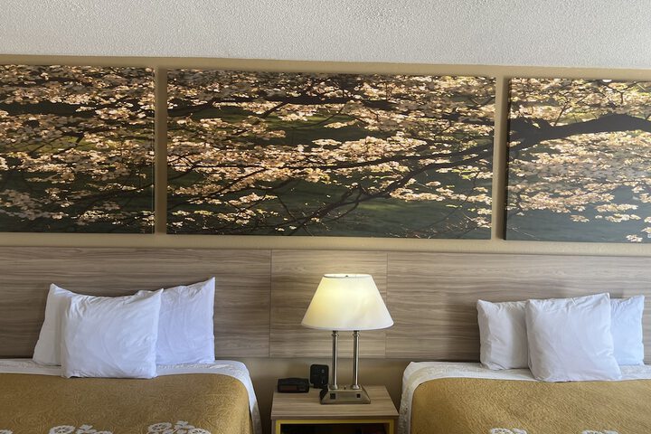 Room 25 of 33