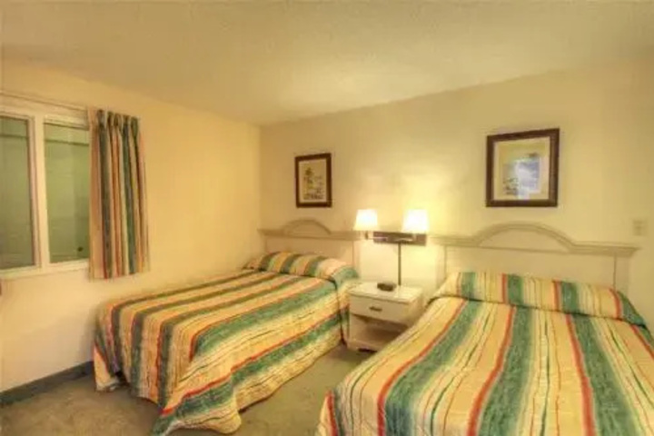 Ocean Forest 506 - Ocean Front