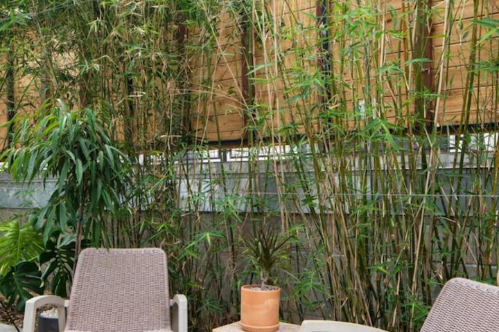 Terrace/Patio 33 of 35