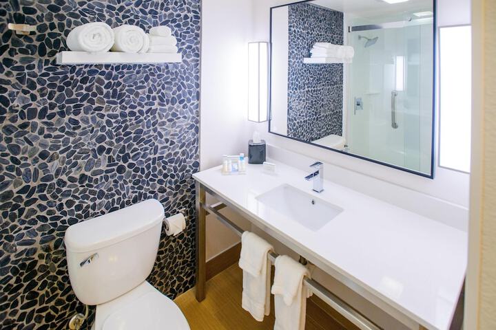 Hilton Garden Inn Rochester Downtown MN