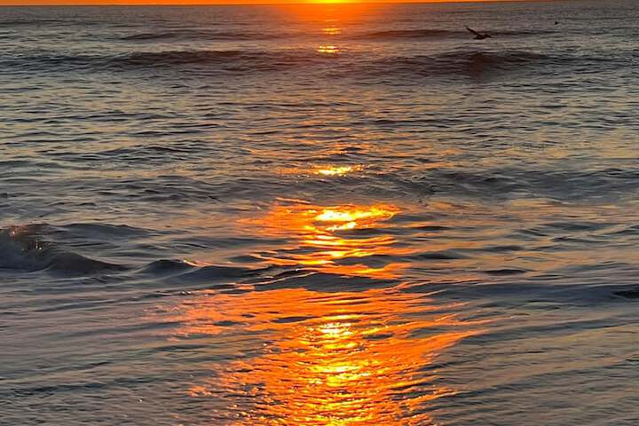Beach 46 of 51
