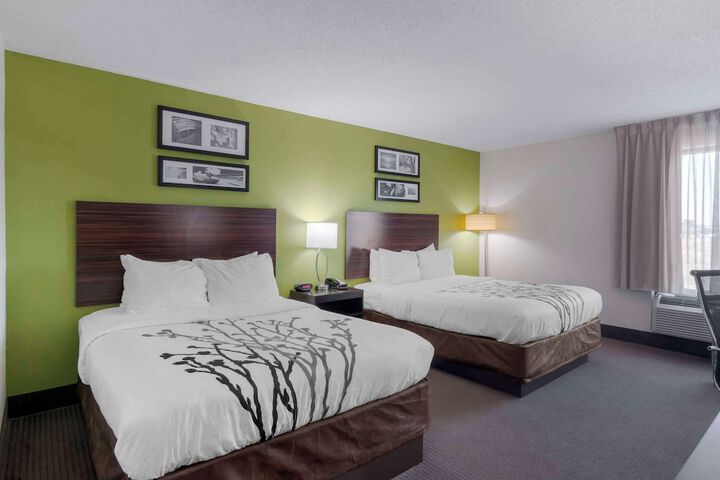 Room 15 of 31