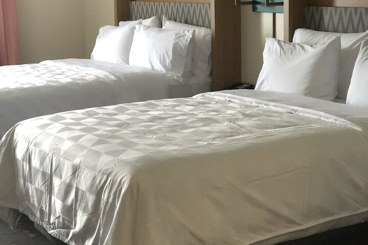 Holiday Inn Hotels and Suites Mount Pleasant by IHG