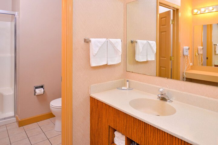Atlantis Family Waterpark Hotel an Ascend Collection Hotel