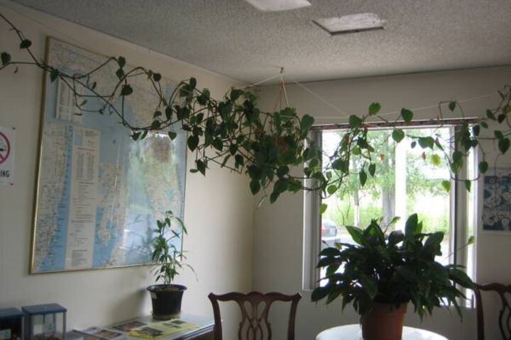 EXECUTIVE INN MARIANNA