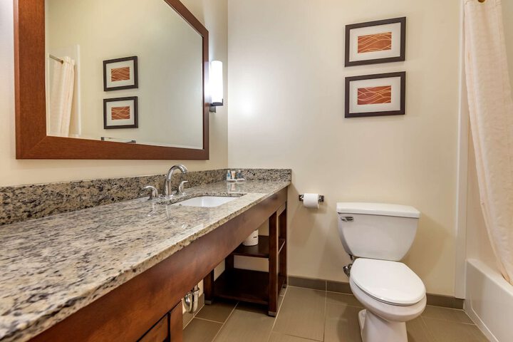 Comfort Inn Apalachin / Binghamton W Route 17