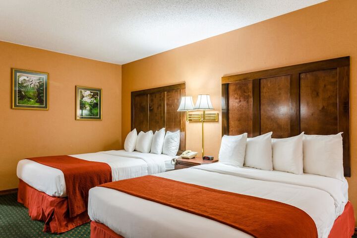 Room 15 of 41