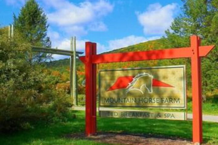Mountain Horse Farm