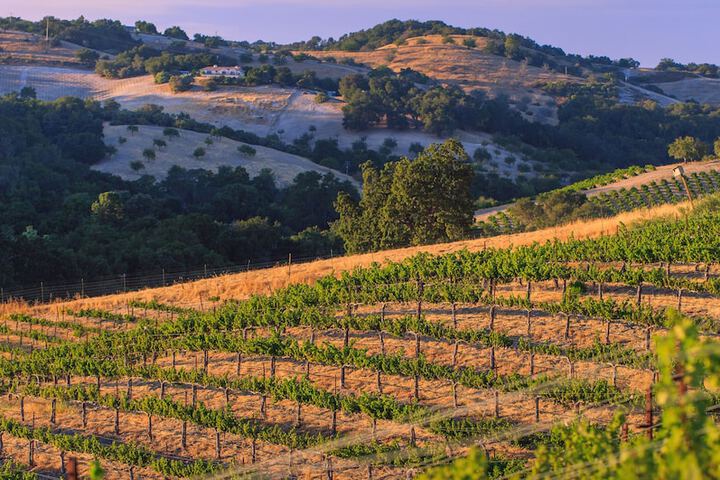Allegretto Vineyard Resort Paso Robles