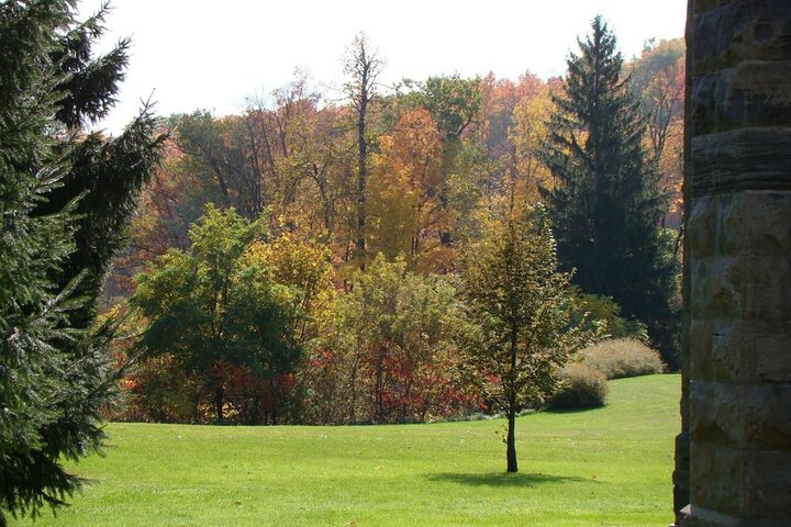 Property Grounds 37 of 41