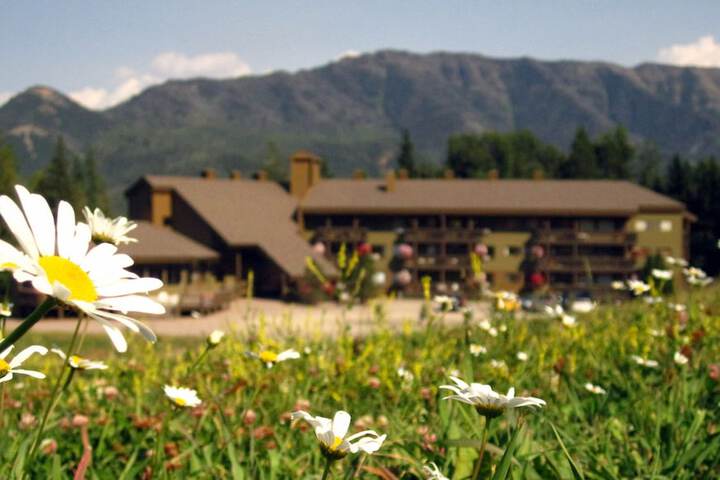 The Griz Inn