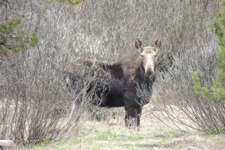 Eagle Ridge Ranch