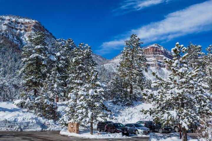 Tamarron Gambel Oak 790 - Wild Turkey Ridge - Durango CO