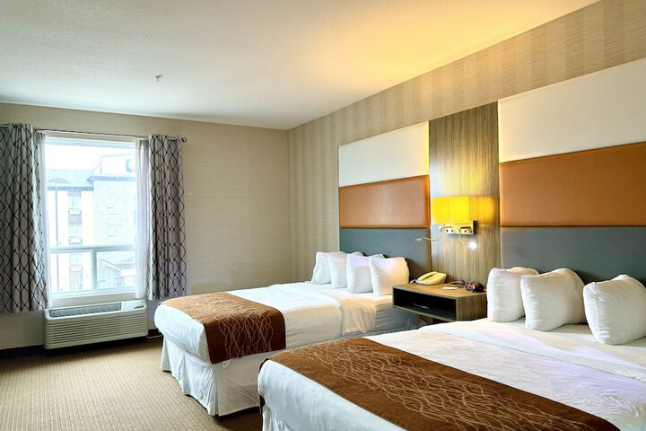 Room 15 of 59