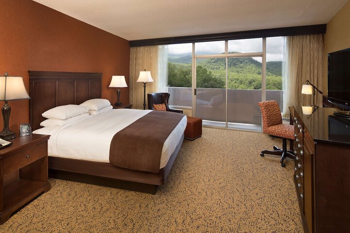 The Park Vista - a DoubleTree by Hilton Hotel - Gatlinburg