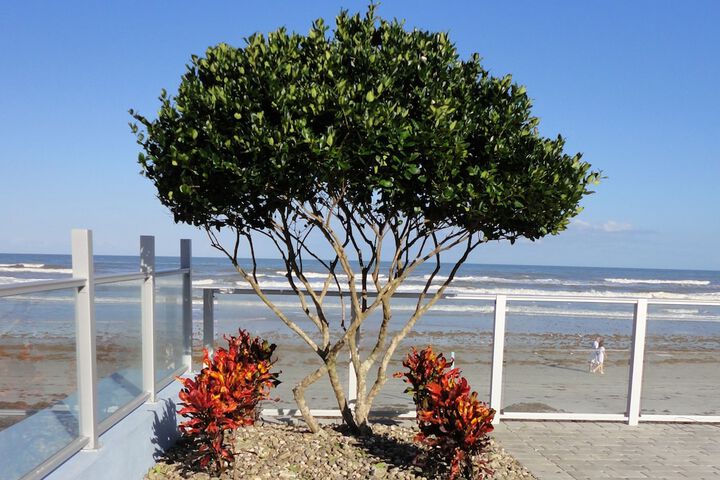 Beach 49 of 54