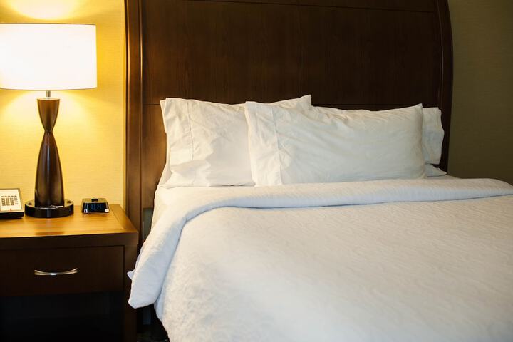 Hilton Garden Inn Buffalo Downtown
