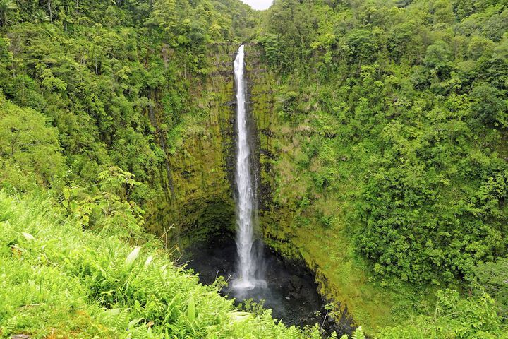 SCP Hilo Hotel