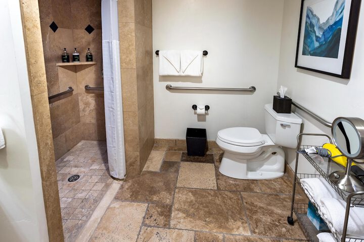 Hyatt Centric Park City