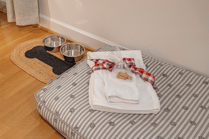 Pet Friendly 150 of 155