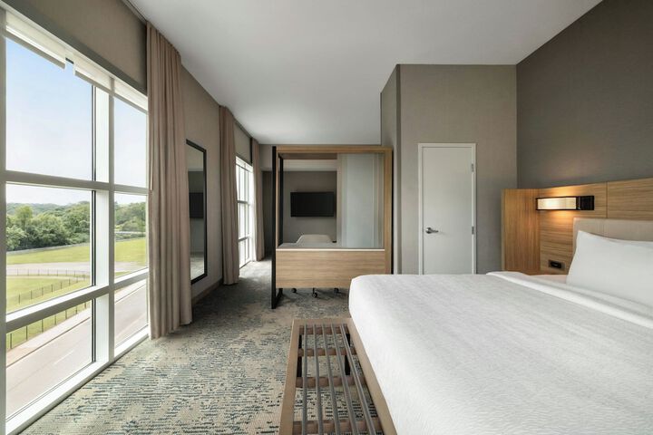 SpringHill Suites by Marriott Roanoke
