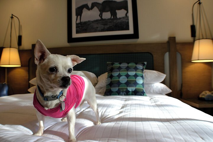 Hidden Valley Inn