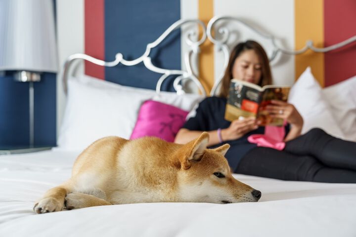 Pet Friendly 69 of 69