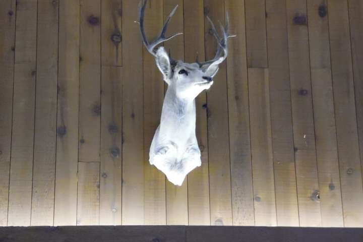 Bear Lodge Motel