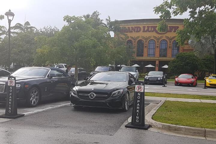 Sawgrass