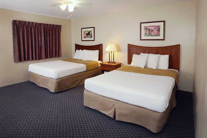 Room 14 of 49