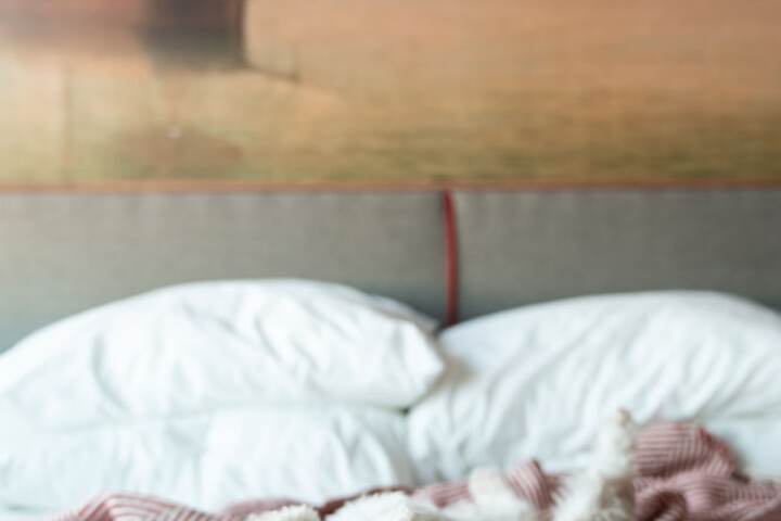 Pet Friendly 101 of 101