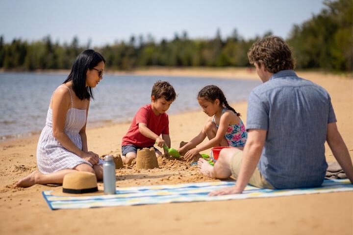 Manistique Sands