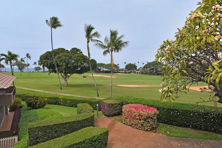 Golf 45 of 52