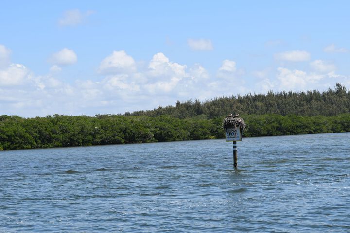 Turtle Beach Resort
