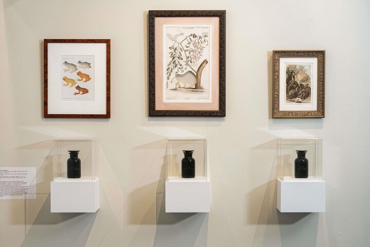21c Museum Hotel Bentonville