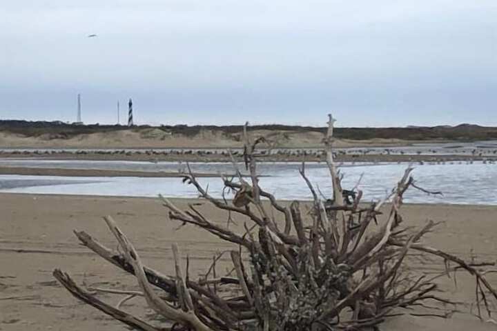 Beach 92 of 113