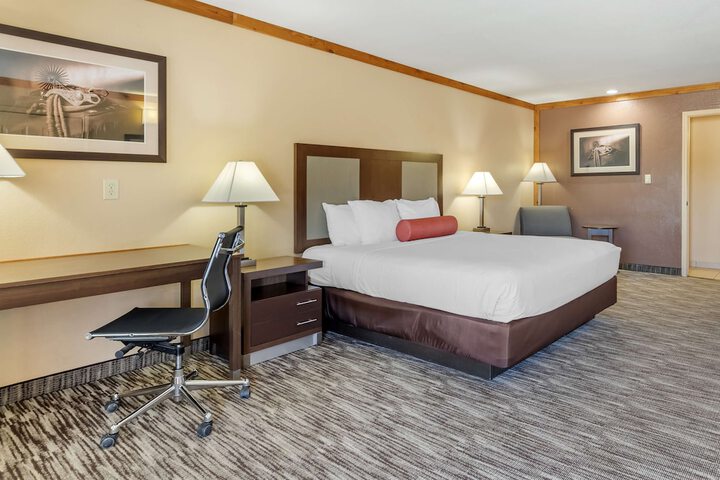Room 9 of 37