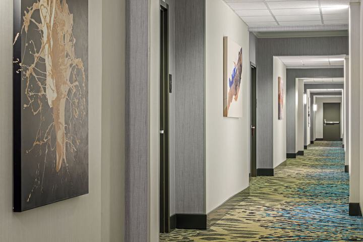 Hotel 43