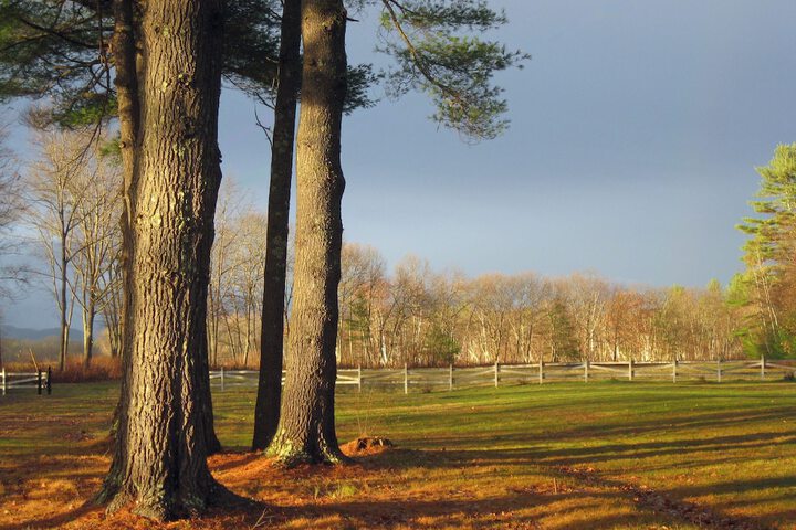 The Old Saco Inn