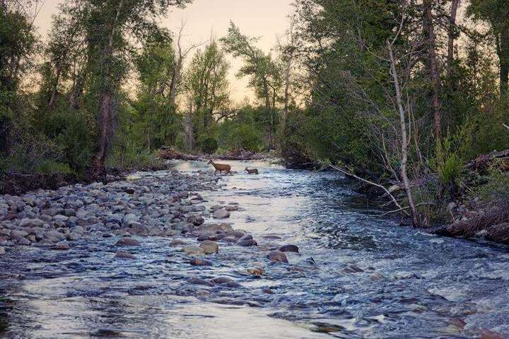 The Brush Creek Luxury Ranch Collection
