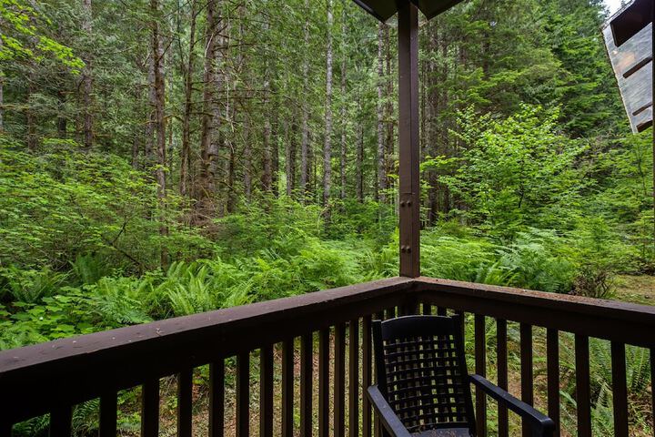 84SW - Sauna - Soaker Tub - Fireplace - Sleeps 6