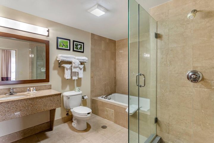 Comfort Suites Southaven - Memphis South